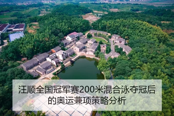 汪顺全国冠军赛200米混合泳夺冠后的奥运兼项策略分析