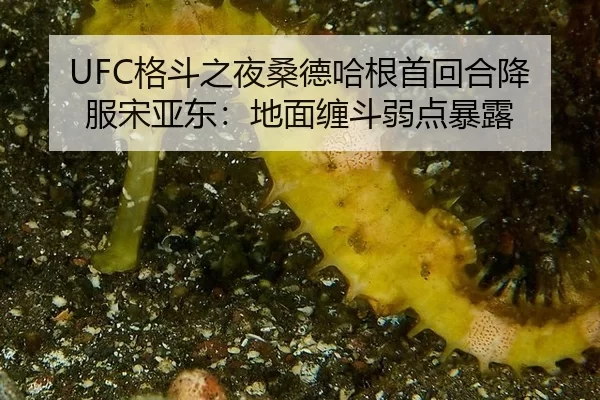 ge-dou-zhi-ye-sang-de-ha-gen-shou-hui-he-xiang-fu-song-ya-dong-di-mian-chan-dou-ruo-dian-bao-lu-3-132.jpg