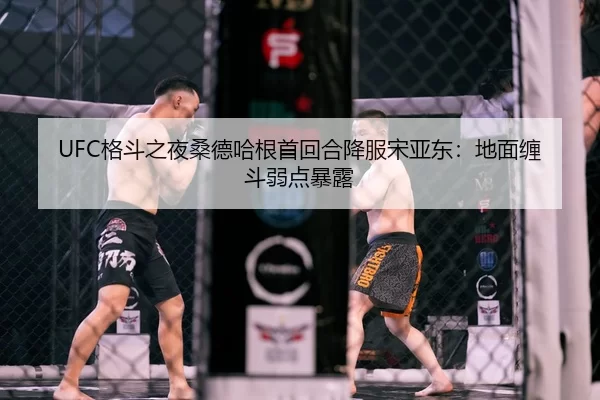 UFC格斗之夜桑德哈根首回合降服宋亚东：地面缠斗弱点暴露